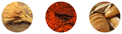 main_icon